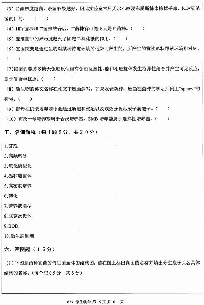 说明: 1%202012年江苏大学839微生物学(A卷)考研真题_页面_5