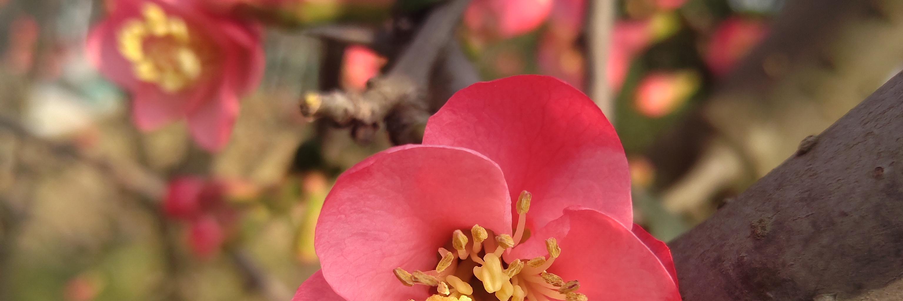 文章封面图片的替代文本