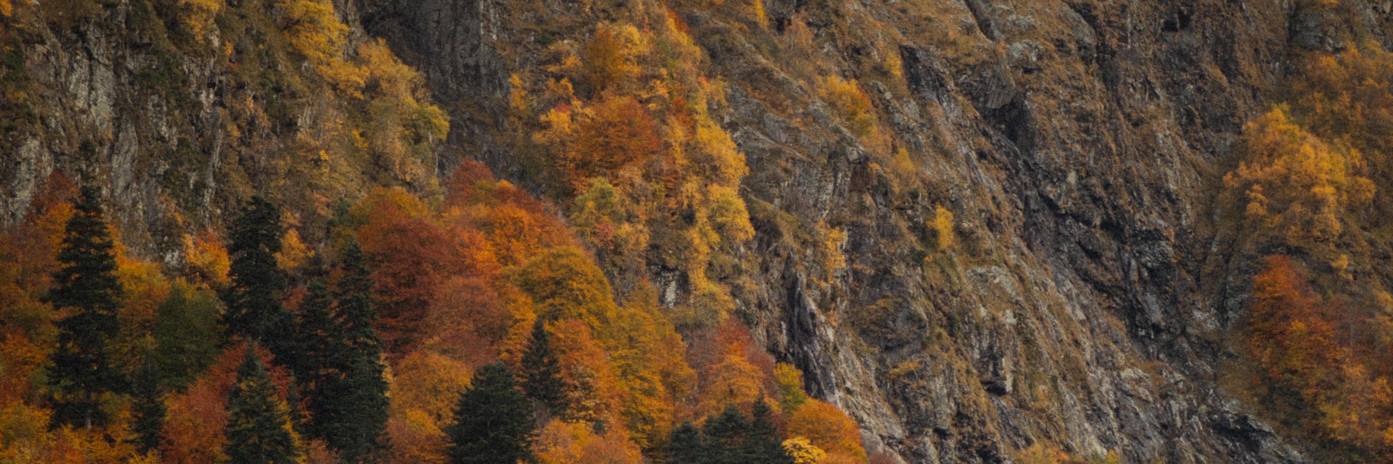 文章封面图片的替代文本